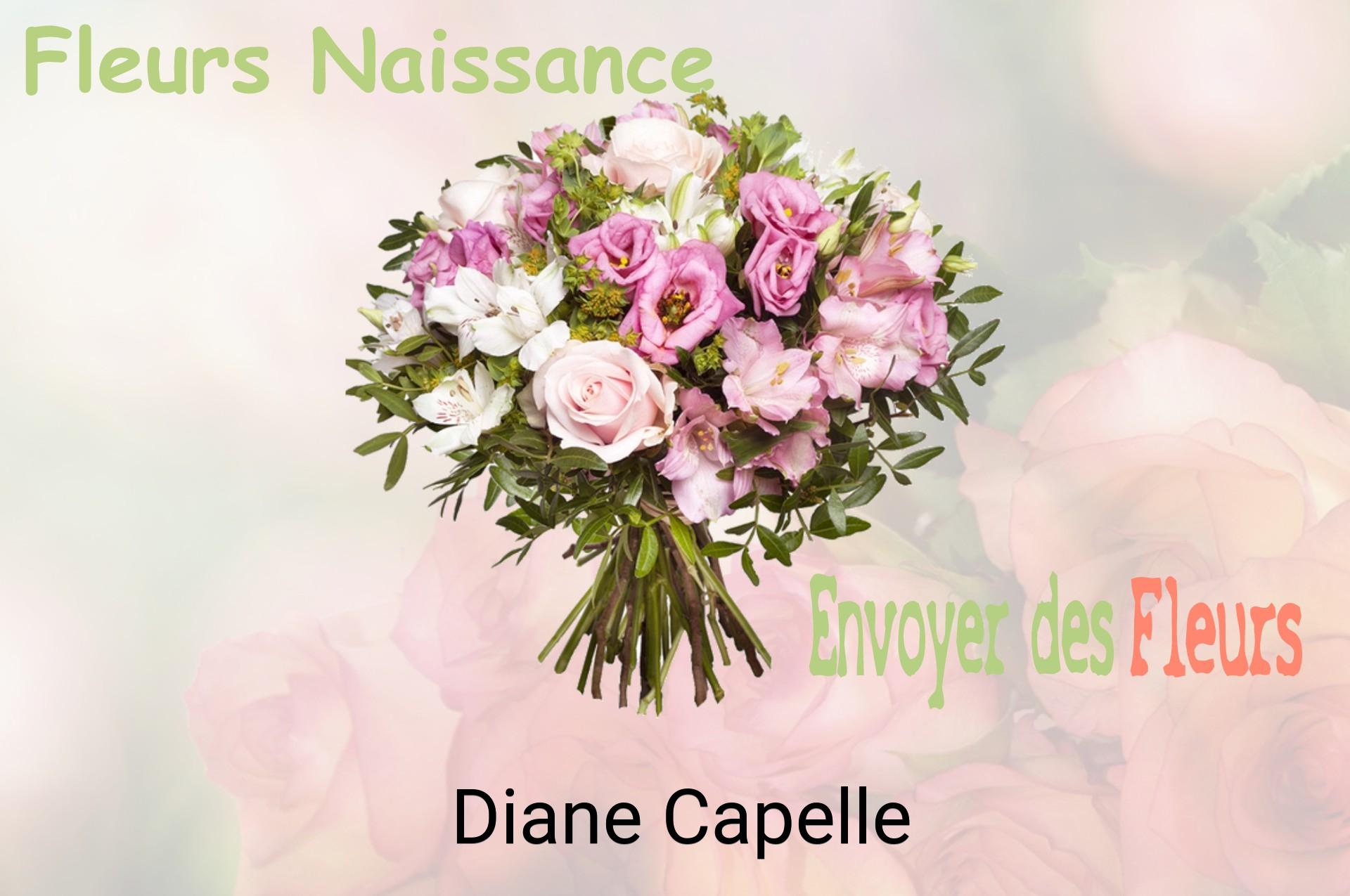 Bouquet de fleurs de naissance livré à Diane-Capelle